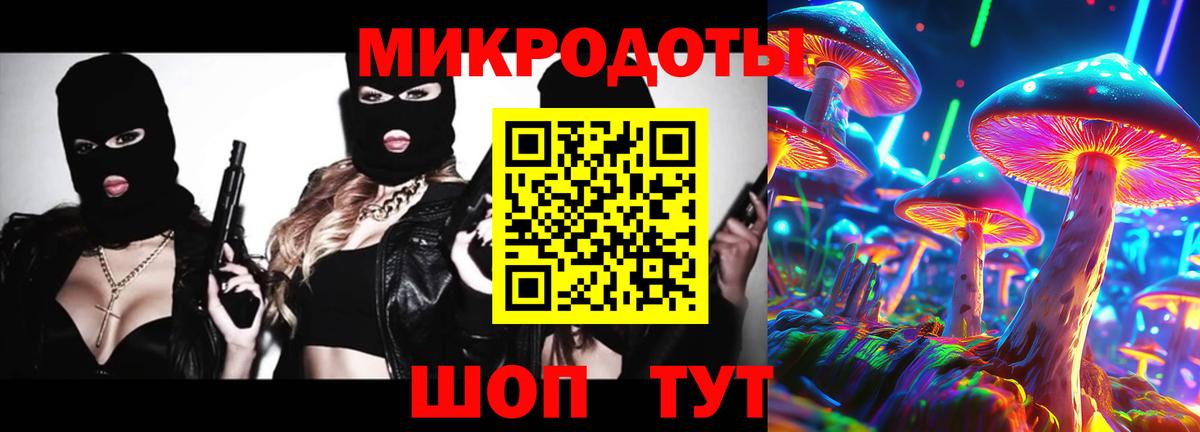 Псилоцибиновые грибы Psilocybine cubensis Зерноград