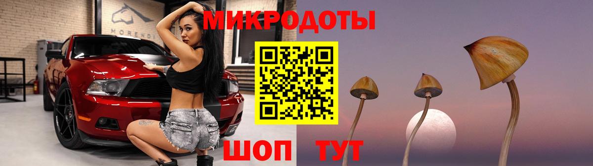 Зерноград  Галлюциногенные грибы мухоморы  где можно купить   Псилоцибиновые грибы мицелий  Вход с VPN 